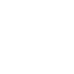 Leipziger AVWS-Board