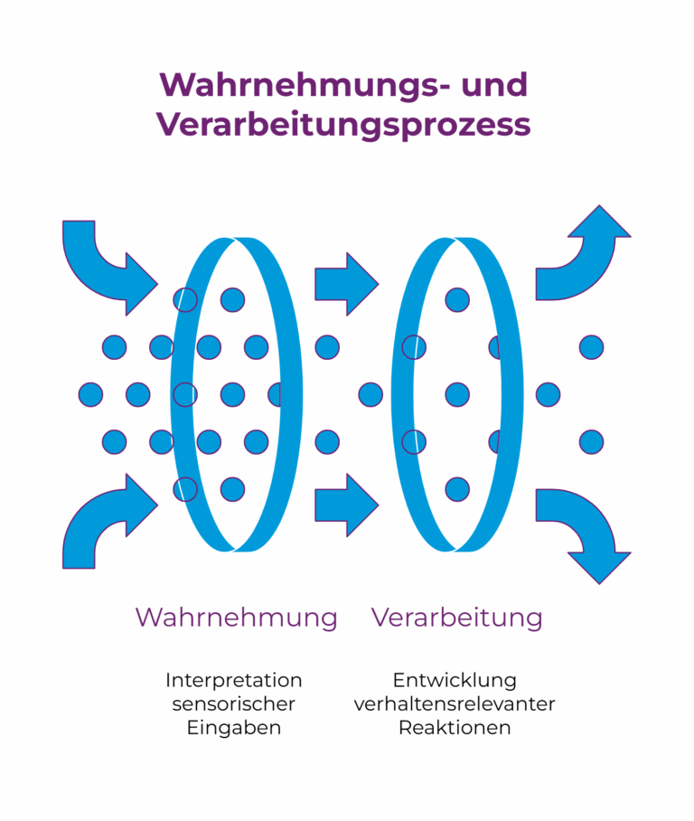 Grafik verdeutlicht den Prozess von Wahrnehmung und folgender Verarbeitung
